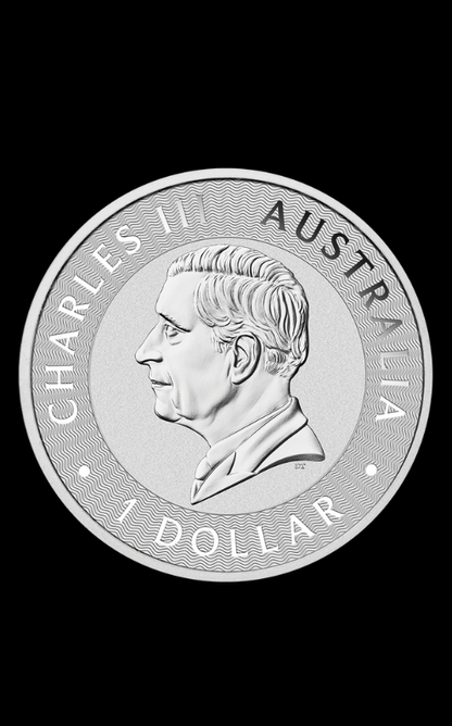 Monedă de Argint 1 uncie Cangur Australian